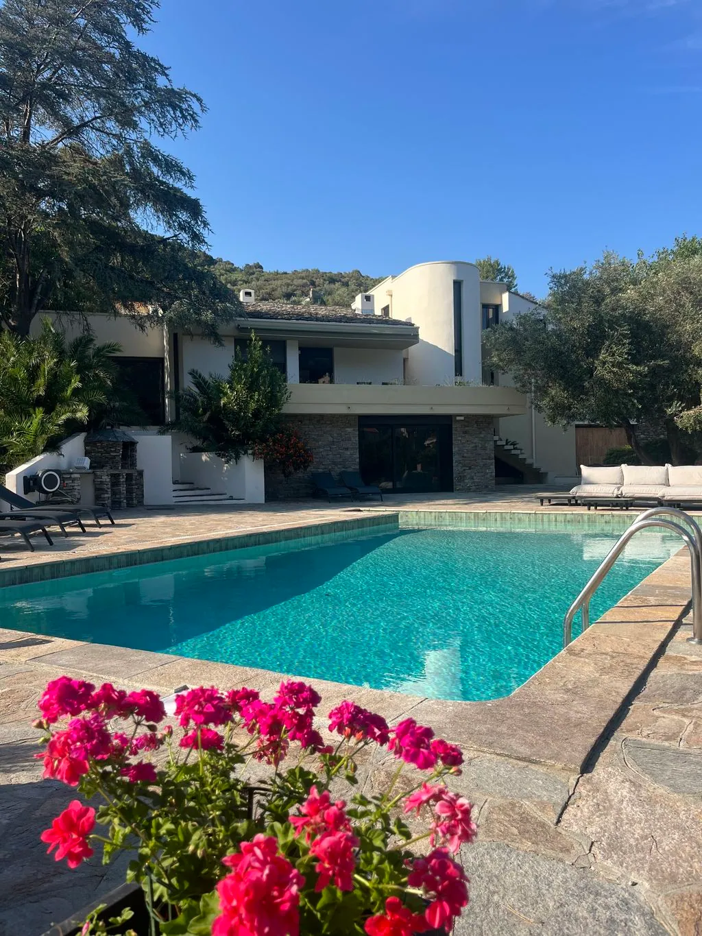 La maison d'hôtes A Villa Rosa et sa piscine, géraniums au premier plan, à Miomo près de Bastia
