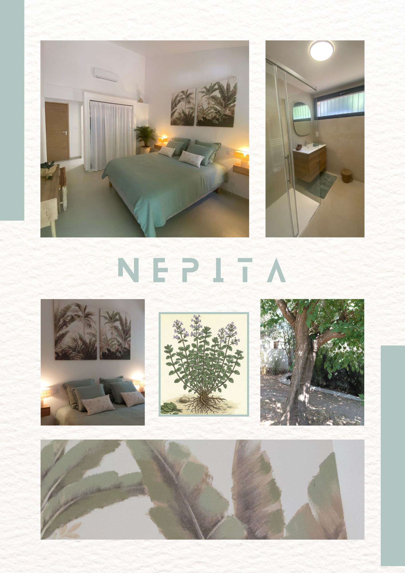 chambre nepita