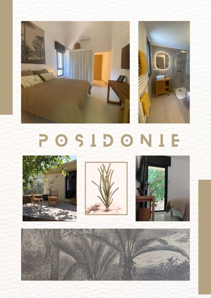 chambre posidonie